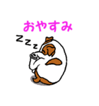 チャミの相棒ウィッシュボーン 3（個別スタンプ：6）