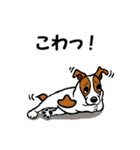 チャミの相棒ウィッシュボーン 3（個別スタンプ：9）