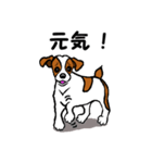 チャミの相棒ウィッシュボーン 3（個別スタンプ：12）