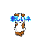 チャミの相棒ウィッシュボーン 3（個別スタンプ：16）