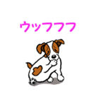 チャミの相棒ウィッシュボーン 3（個別スタンプ：17）