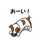 チャミの相棒ウィッシュボーン 3（個別スタンプ：20）