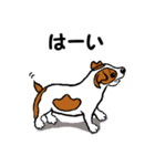 チャミの相棒ウィッシュボーン 3（個別スタンプ：21）