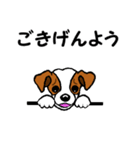 チャミの相棒ウィッシュボーン 3（個別スタンプ：22）