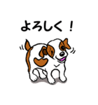 チャミの相棒ウィッシュボーン 3（個別スタンプ：23）