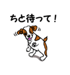チャミの相棒ウィッシュボーン 3（個別スタンプ：24）
