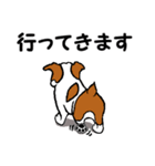 チャミの相棒ウィッシュボーン 3（個別スタンプ：29）