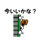 チャミの相棒ウィッシュボーン 3（個別スタンプ：30）