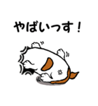 チャミの相棒ウィッシュボーン 3（個別スタンプ：34）