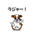 チャミの相棒ウィッシュボーン 3（個別スタンプ：37）