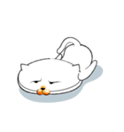 つけ鼻ネコ（個別スタンプ：34）