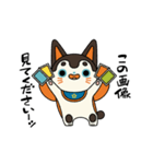 犬張り子のケンちゃん（個別スタンプ：17）