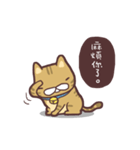 Fluffy Kitten Boggi（個別スタンプ：5）