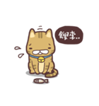 Fluffy Kitten Boggi（個別スタンプ：6）