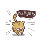 Fluffy Kitten Boggi（個別スタンプ：8）