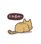 Fluffy Kitten Boggi（個別スタンプ：10）