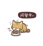 Fluffy Kitten Boggi（個別スタンプ：11）