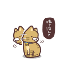 Fluffy Kitten Boggi（個別スタンプ：30）