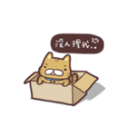 Fluffy Kitten Boggi（個別スタンプ：36）