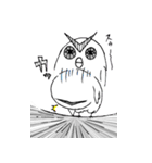 フクロウ*（個別スタンプ：27）