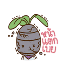 THE SALADS 2（個別スタンプ：38）