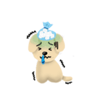 the day of little gray dog（個別スタンプ：9）