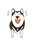 Husky Rangers (EN)（個別スタンプ：5）