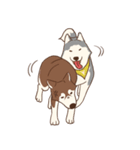 Husky Rangers (EN)（個別スタンプ：11）