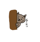 ねこただよ（個別スタンプ：11）