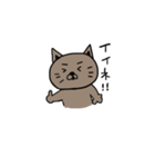 ねこただよ（個別スタンプ：25）