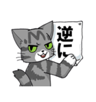 しま猫とんぺい（個別スタンプ：31）