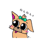 ぶさいくチワワ2（個別スタンプ：20）