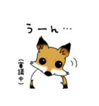 きつね日和（個別スタンプ：4）
