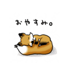 きつね日和（個別スタンプ：7）