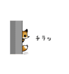 きつね日和（個別スタンプ：12）