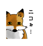 きつね日和（個別スタンプ：16）