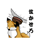 きつね日和（個別スタンプ：34）