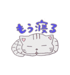ねこのサリュ（個別スタンプ：1）