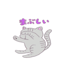 ねこのサリュ（個別スタンプ：5）