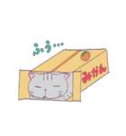 ねこのサリュ（個別スタンプ：11）