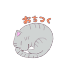 ねこのサリュ（個別スタンプ：12）