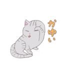 ねこのサリュ（個別スタンプ：15）