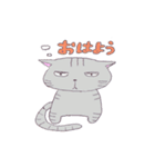 ねこのサリュ（個別スタンプ：17）