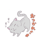 ねこのサリュ（個別スタンプ：27）