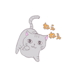 ねこのサリュ（個別スタンプ：39）