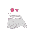 ねこのサリュ（個別スタンプ：40）