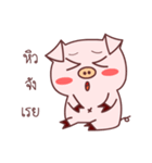 pig dukdik（個別スタンプ：17）