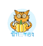 Tiger-cat（個別スタンプ：4）