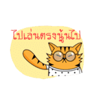 Tiger-cat（個別スタンプ：5）