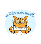 Tiger-cat（個別スタンプ：6）